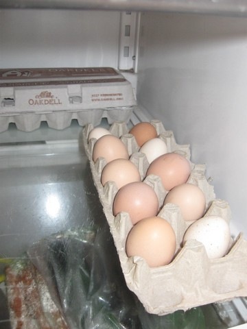 [fridge eggs 01[3].jpg]