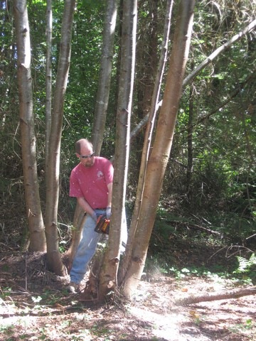 [woodcutting 03[3].jpg]