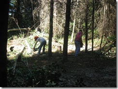 woodcutting 08