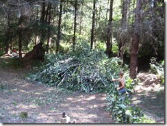 woodcutting 12
