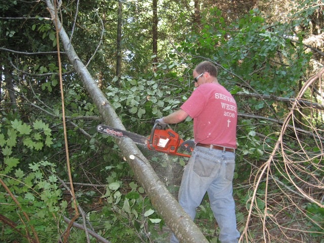 [woodcutting 11[3].jpg]