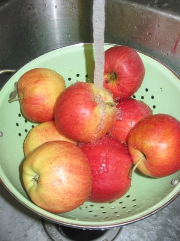 [applesauce 03[3].jpg]