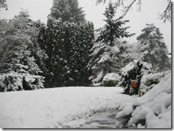 first snow 12 first snow 12