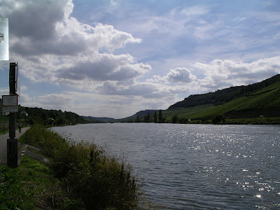 Mosel bei Nittel