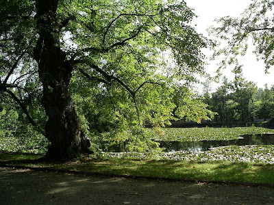 Krummau
