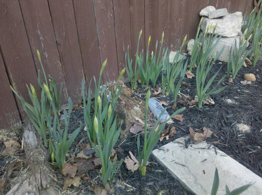 March 18, 2010