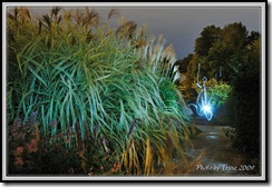 photobytrusz_20091008_tbg_005