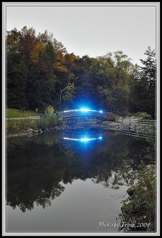 [photobytrusz_20091008_tbg_008[2].jpg]