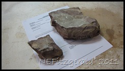 IMG_5256 IMG_5256
