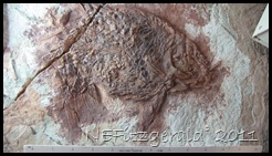 IMG_5253 IMG_5253