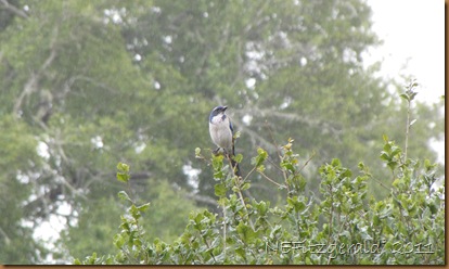 IMG_5692 IMG_5692