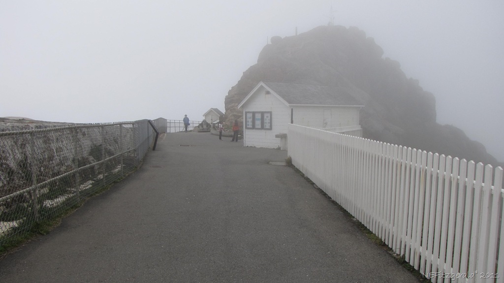 [IMG_5849 PointReyes LighthouseVisitor Center[13].jpg]