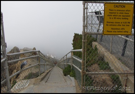 IMG_5860300StepsToLighthouse