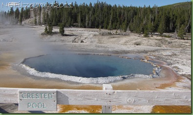 CrestedPool(a) CrestedPool(a)