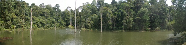 [PC0102565.jpg]