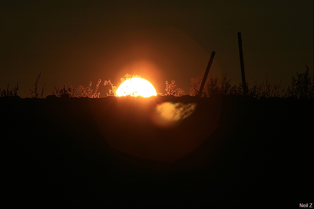 [IMG_50597.jpg]
