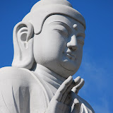 Buddhist Temple Scenes