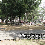 molo_plaza8.jpg