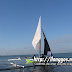 paraw_regatta_main_event16.jpg
