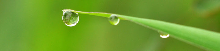 header-photo