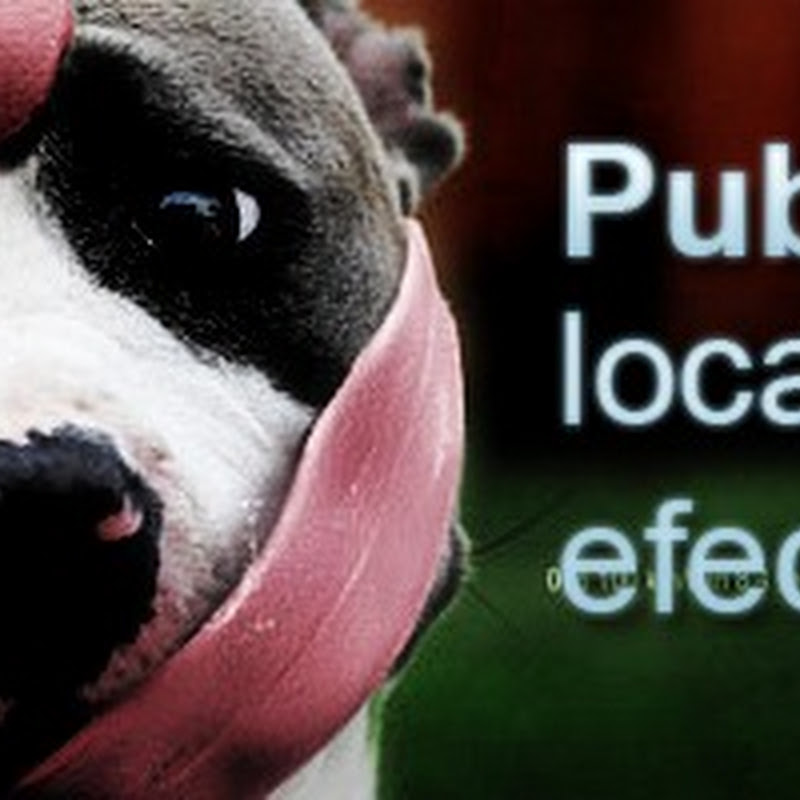 Publicidad loca pero efectiva #2