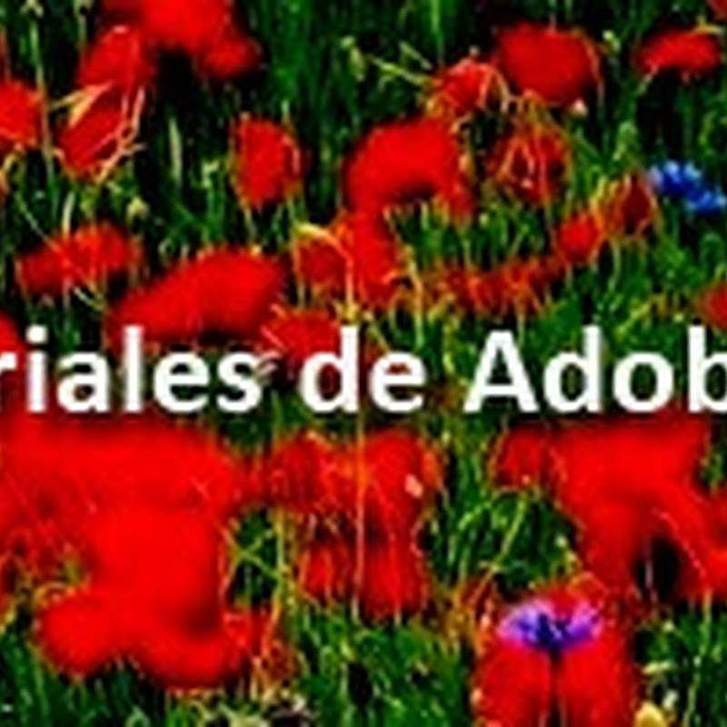 Adobe Flas CS3 | Fondos de imágenes