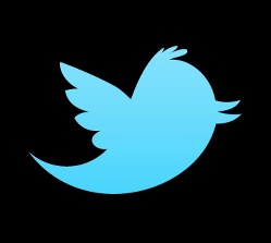 [the-new-twitter-logo[6].jpg]