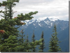 IMG_6016 IMG_6016
