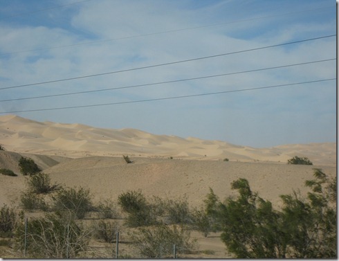 IMG_6440 IMG_6440