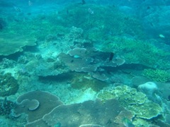 DSC04443