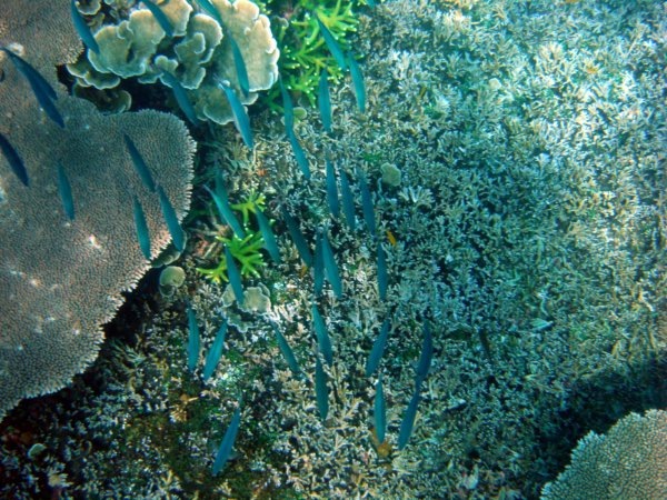 [DSC02572[3].jpg]