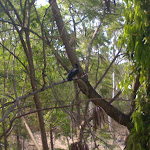 20032011593.jpg 20032011593.jpg