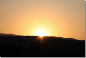 IMG_6016 IMG_6016