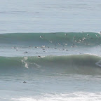 Swamis Best Swell 2005