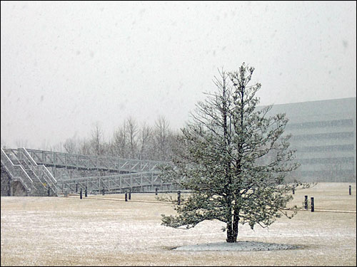 Snow on the AOL Dulles campus