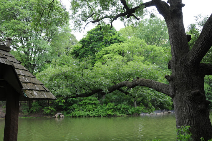 Америка 2010. Часть 4. Парки