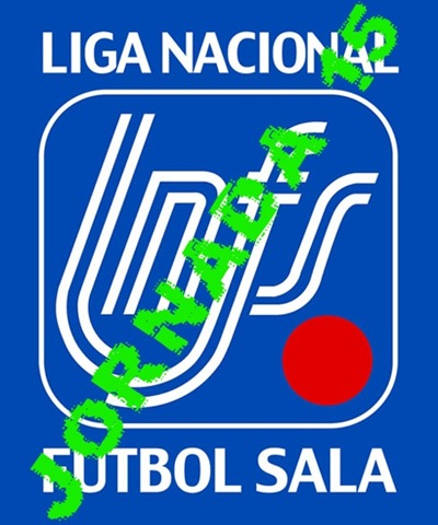 [logo LNFS[3].jpg]