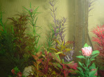 Aquário Principal - Plantas Artificiais