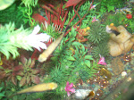 100_1217.JPG