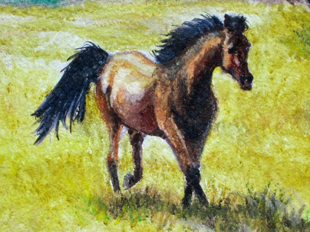 [Running horse close up finished natural[2].jpg]