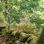P5150638.JPG