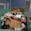 P1010573.JPG