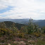 P1010567.JPG