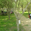 DSCN5248.JPG