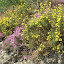 DSCN5230.JPG