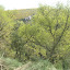 DSCN5238.JPG
