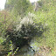 DSCN5240.JPG