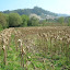 DSCN5244.JPG