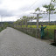 P4180150.JPG