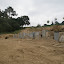 P7110164.JPG